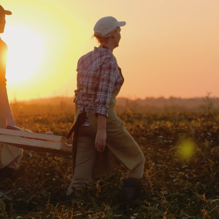 two_farmers_carry_heavy_box