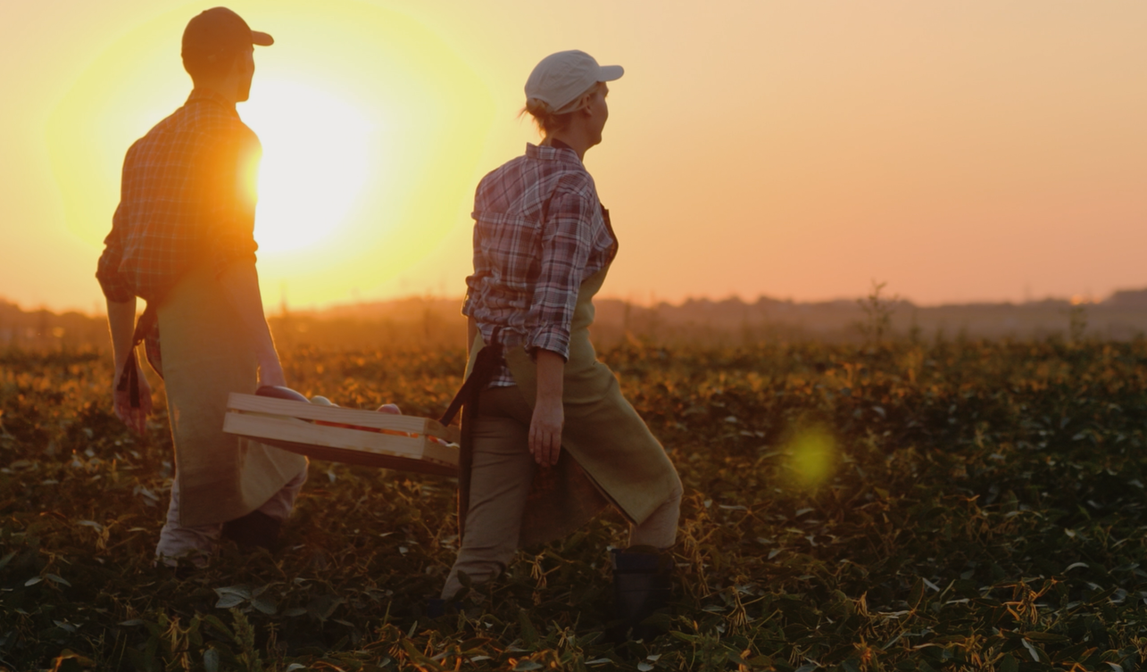 two_farmers_carry_heavy_box